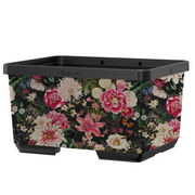 Bike crate Bont Boeket