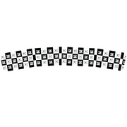 Checkered Skulls Sticker (Dit is een losse sticker)